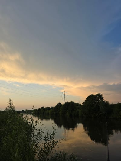 The image depicts a tranquil natural scene by a river, likely on the outskirts of Togashevo, Russia, during the golden hour. The sky is a gradient of soft blues and warm yellows, with scattered clouds. Power lines stretch horizontally across the frame, interspersed with two tall transmission towers visible in the distance. The river, with its calm surface reflecting the sky and surrounding trees, flows gently. Dense green foliage lines the banks, with lush trees forming a dark, solid mass against the horizon. In the foreground, a thicket of green plants and branches partially obscures the view. A fishing rod is also visible on the right side of the image, leaning into the water, suggesting human presence and recreational activity. The overall atmosphere is serene and picturesque, characteristic of a rural or natural landscape.