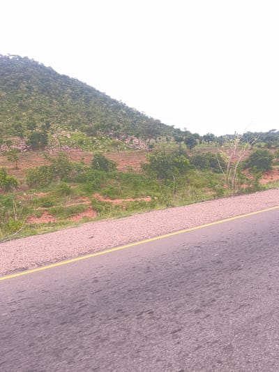 The media file depicts a roadside view in Minda, Nigeria. The scene is dominated by a paved road on the right side, marked with a yellow line. To the left of the road, there is a sloping hillside covered with lush green vegetation, including trees and grass. Patches of reddish-brown soil are visible amidst the greenery, suggesting agricultural activity or natural terrain. A few bare branches of a tree are also present. The sky on the far left appears bright and overcast. The overall impression is of a rural or semi-rural environment, possibly during daylight hours, with a natural landscape adjacent to a road. There is no visible text or discernible activity taking place.