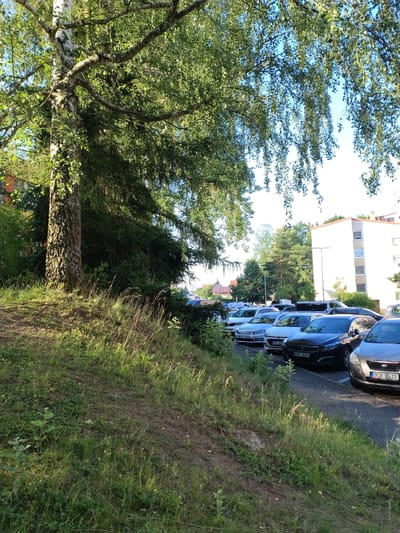 A side-view, eye-level, medium shot captures a row of parked cars along a street, partially obscured by lush green trees and foliage. The cars are of various colors, including dark blue, white, and black, and appear to be in a residential or parking lot setting, given the presence of a white apartment building in the background. The trees, with their leafy branches and textured bark, create a natural foreground and midground, with sunlight filtering through them, suggesting it is daytime, likely late afternoon due to the golden quality of the light. The ground is covered in grass and some dirt, indicating an outdoor environment. Several cars display license plates, with visible text such as "9C9 2423," "6AE 4403," and "77H 3575." The overall scene conveys a peaceful, everyday moment in Písek, Czechia.