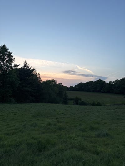 The image shows a landscape with a clear, blue sky in the upper left. There are cloud formations and contrails. To the right, a line of trees separates the sky from a grassy field. The field appears to be overgrown with long grass. The scene suggests a rural setting, possibly in Hertsmere, United Kingdom. There are no people visible in the image.