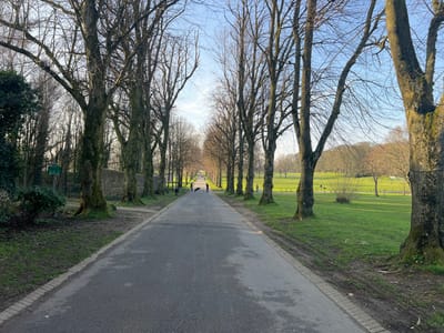 The image displays a long, straight asphalt avenue within Lurgan Park, Lurgan, United Kingdom, under a clear blue sky. The avenue extends into the distance, flanked by two parallel lines of tall, leafless deciduous trees. To the left of the avenue, a dense collection of trees, possibly evergreens, and a low stone wall are visible behind the initial tree line. To the right of the avenue, an expansive, well-maintained green lawn extends to the horizon, dotted with scattered trees and shrubs.
In the mid-distance along the avenue, three human figures are present. Two individuals are walking together, with one person appearing to walk a dark-colored dog on a leash. A third individual walks independently a short distance behind them. Further in the background, another human figure is faintly visible on the path, and one solitary individual is present on the right-side lawn. In the foreground on the left, a green informational sign is partially visible amidst low foliage. The scene indicates a sunny day, likely during late autumn or winter due to the bare trees.