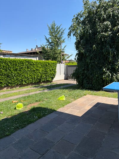 The image depicts an outdoor scene in Lissone, Italy, characterized by a paved pathway bordering a grass area, with vegetation and buildings visible in the background. The pathway is constructed with two types of rectangular pavers, one grey and one light brown. The grass area is interspersed with white flowers and contains two small, light green plastic baskets.

On the left side of the scene is a dense green hedge, adjacent to a white wall with a metal gate. Further in the background, residential buildings with visible roof structures and television antennas are observed under a clear blue sky. Above the hedge and buildings, trees with distinct foliage patterns are present.

Overhanging on the right side of the image is a large, leafy tree, partially obscuring a blue object, possibly part of a structure or furniture. The lighting suggests a sunny day with distinct shadows cast on the pathway and grass. The photograph is taken from a slightly elevated perspective.