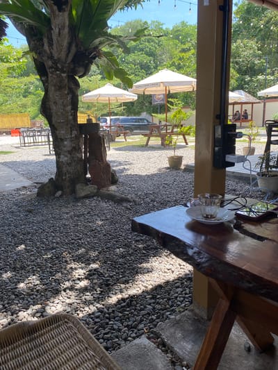 The image depicts an outdoor seating area at a coffee shop with a rustic aesthetic. The foreground features a wooden table with a live edge, on which sits a nearly empty glass of espresso and a smartphone. To the left, a portion of a woven chair is visible, and the ground is covered in small gray pebbles. In the mid-ground, a large tree with a bird's nest fern growing on it stands prominently. Several white umbrellas providing shade for outdoor seating are visible, some with signage indicating "BARRA COFFE & SPACE." Beyond the umbrellas, there are wooden picnic tables and benches, and a dark-colored SUV is parked. A small thatched-roof gazebo with people sitting inside is also present. In the background, lush green trees and foliage are abundant under a clear blue sky. The overall setting suggests a casual and relaxed atmosphere, likely in a tropical or subtropical environment, possibly the city of Aluepiet, Indonesia, given the context. The lighting indicates it is daytime, with sunlight dappling through the leaves of the tree.