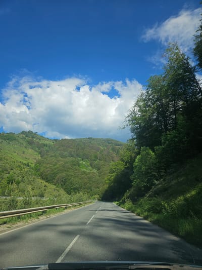 A road runs along a mountainside near Liaskovo, Bulgaria. The road is asphalt, with a white line marking the lane. A metal guardrail protects the edge of the road on the mountainside. Dense green vegetation covers the mountainside, with patches of slightly different hues suggesting varying plant types or terrain. The sky is predominantly blue, with puffy white clouds scattered throughout. Trees overhang the road, partially obscuring the sky and casting shadows on the pavement. The image is oriented vertically.