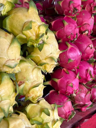 A close-up, overhead shot showcases a vibrant display of dragon fruits, a popular delicacy often found in the bustling markets of Rai Mai, Thailand. The scene is dominated by a rich palette of colors, with bright yellow and fuchsia dragon fruits piled high, their spiky exteriors hinting at the sweet, juicy flesh within. The yellow varieties, with their leafy green accents, are artfully arranged to the left of the frame, while the vivid pink dragon fruits occupy the right, creating a striking visual contrast. The fruits appear fresh and ripe, suggesting a recent harvest and a prime selection for sale. The background is a blur of indistinct colors and textures, perhaps hinting at the chaotic yet captivating atmosphere of a Thai marketplace. This image captures the essence of a tropical fruit stand, a common sight in regions like Rai Mai, where exotic produce thrives under the warm sun.