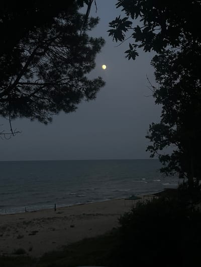 The image depicts a twilight scene at a beach in Bliznatsi, Bulgaria. The sky is a deep, muted blue, with a pale full moon visible near the top center. Silhouetted trees frame the view from the left and right, with dark foliage obscuring the upper portions of the scene. Below the sky and moon lies the calm sea, with gentle waves lapping at a sandy beach. The beach itself is sparsely populated. There are a few beach umbrellas, one green and the others dark, and some unseen structures or objects further down the shore. The overall atmosphere is tranquil and serene, characteristic of a quiet evening by the Black Sea.