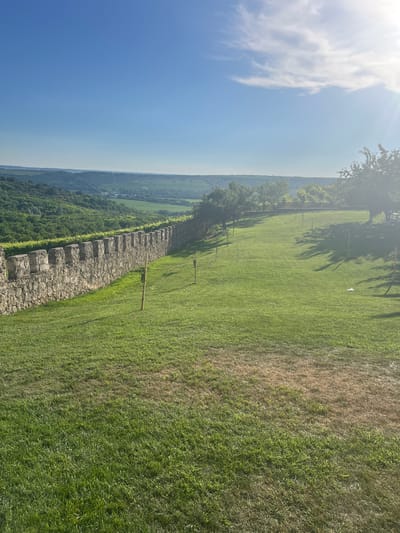 This image captures a panoramic view from a hillside location in Stăuceni, Moldova. In the foreground, a manicured green lawn slopes gently downwards. To the left, a weathered stone wall, characteristic of historical fortifications, runs along the edge of the property. This wall is topped with what appears to be a vineyard or rows of low-lying greenery. Beyond the wall, the landscape unfolds into rolling hills covered in lush green vegetation, dotted with trees and small settlements in the distance. The sky above is a clear, bright blue with a few wispy clouds, and the sun is prominently visible in the upper right corner, casting a lens flare. The overall scene suggests a serene, rural setting with historical significance.