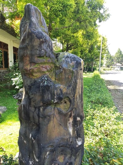 The scene depicts an outdoor environment, stated to be located in Staufenberg, Germany. A large, dark-colored, vertically oriented object dominates the central and foreground portions of the image. This object, resembling a weathered tree trunk or sculpted rock formation, exhibits a rugged, irregular surface with dominant dark gray and black tones, interspersed with lighter brownish-yellow areas and patches of green moss, particularly on its upper and central sections. Distinctive grooves, depressions, and natural patterns are visible across its textured surface.
To the left of the central object, a cream-colored building featuring dark-framed rectangular windows and a dark-tiled roof is partially visible. The ground between the object and the building is covered with vibrant green grass and various plants. Several smaller, naturally shaped stones are present on the grass near the building's base.
To the right of the central object, a low, dense hedge of green foliage borders a paved surface, consistent with a road or pathway, which recedes into the background. A utility pole is visible positioned along the right side of this paved area. Further in the background, numerous trees with bright green canopies are evident under direct sunlight, and faint outlines of distant structures are discernible. No individuals, explicit actions, or direct interactions are visible within the frame. The entire scene is illuminated by strong natural daylight.