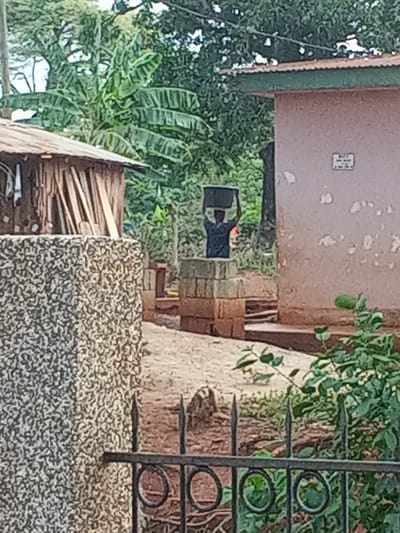 The image presents an outdoor scene set in a verdant, possibly rural or semi-rural environment. In the mid-ground, a person, wearing a dark shirt, is depicted carrying a dark, rectangular basin or bucket on their head, using both hands to steady it. They stand on a low structure composed of concrete blocks and reddish bricks.
To the left, a rustic wooden building with a corrugated metal roof is partially visible, positioned behind a textured, mottled grey wall in the immediate foreground. Several planks of wood lean against this wooden structure. On the right side of the frame, there is a light brown or pinkish-beige painted building with a dark green roof. Its paint appears worn and peeling in various spots. A faint, stylized square symbol or logo is discernible on its wall.
The background is dominated by lush green vegetation, featuring large-leafed plants resembling banana trees and other dense foliage. The ground beneath the structures is primarily dirt or sandy earth. In the very foreground, a black wrought-iron fence with decorative circular and spiked elements stretches across the bottom, partially obscuring the lower part of the scene. The lighting suggests it is daytime, with soft, diffused light illuminating the area. The overall scene conveys an impression of daily life amidst a natural, developing landscape.