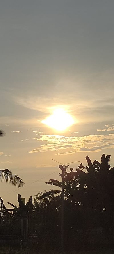 The image depicts a sunset scene in Lhoksukon, Indonesia. The sun, a bright, almost square-shaped orb, is positioned in the upper center of the frame, casting a warm, golden glow across the sky. Wispy clouds are scattered across the sky, illuminated by the setting sun. In the foreground, silhouetted against the bright sky, are the dark shapes of tropical foliage, including banana trees and palm fronds. A dark metal fence is visible running horizontally across the lower part of the image, separating the foreground from a darker, unidentifiable area beyond. A thin, dark pole with what appears to be antennae or wires extends upwards from the foliage on the right side of the image. The overall atmosphere is serene, capturing the tranquil beauty of a tropical evening.