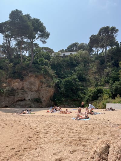 The image shows a sandy beach in Tamariu, Spain (latitude: 41.918, longitude: 3.208). There are approximately 15 people on the beach. Some are laying down on towels, while others are standing and talking. There are several large pine trees behind the beach and a white house in the distance on a cliff. The cliff is covered in greenery and a small rock formation is visible in the foreground. The beach appears to be partially enclosed by the cliff, which creates a secluded and peaceful environment. The sky is clear and blue, with no clouds present. The sun is shining brightly.