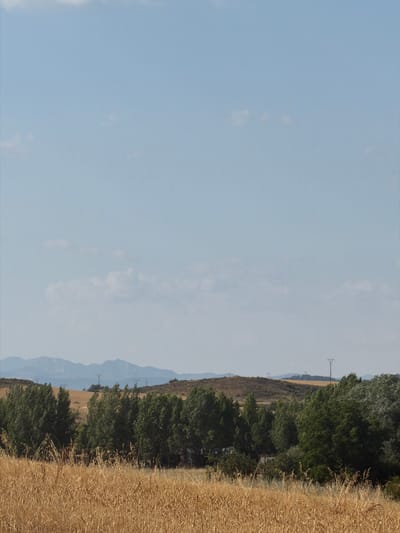 This is a landscape photograph taken in Valdefresno, Spain. The image depicts a rural scene with a clear blue sky dotted with a few wispy clouds. In the foreground, there is a field of dry, golden wheat stalks. Behind the wheat field, a line of mature, dark green trees stretches across the middle ground. Beyond the trees, rolling hills are visible, with some areas appearing dry and arid, while others are covered in sparse vegetation. In the distance, a range of hazy, blue mountains forms the backdrop. Several electricity pylons are scattered across the landscape, indicating the presence of infrastructure. The overall impression is one of a sun-drenched, agricultural area.
