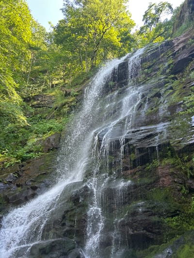 This media file captures a section of a waterfall cascading down a moss-covered rock face. The scene is dominated by the natural elements of water, rock, and lush green foliage, suggesting a woodland or forest setting. The water flows in multiple streams, creating a dynamic and textured surface as it descends, with droplets and spray catching the light. The rock is dark and rugged, with streaks of water creating lighter lines and patterns. Patches of vibrant green moss and vegetation cling to the rock, adding to the wild and untamed feel of the environment.
To the left of the waterfall, a canopy of bright green leaves from nearby trees is visible, illuminated by sunlight. The leaves are dense, creating a vibrant contrast with the darker rock face. The sky peeks through the foliage, appearing bright and clear, indicating a daytime scene. The orientation of the image is such that the waterfall appears to be flowing downwards from the top, and the trees are to the left, reaching upwards.
The overall impression is one of natural beauty and tranquility, with the sound of the flowing water implied. There are no people or man-made objects visible, reinforcing the focus on the natural landscape. The lighting suggests it is a bright day, possibly late morning or early afternoon, given the intensity of the sunlight on the leaves. The location is identified as Chiprovtsi, Bulgaria. No text is visible in the image.