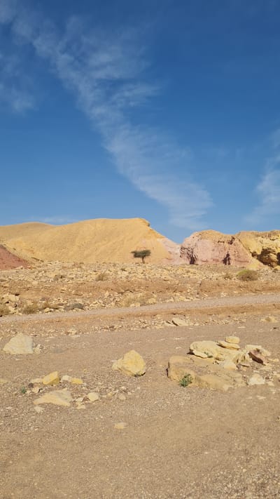 The image depicts a landscape within the Hevel Eilot Regional Council, Israel. The scene includes a blue sky with wispy clouds, a rocky, arid terrain composed of yellow, orange, and reddish-brown rock formations, and a gravelly path or surface littered with scattered stones. A single, small tree stands on a hillside.