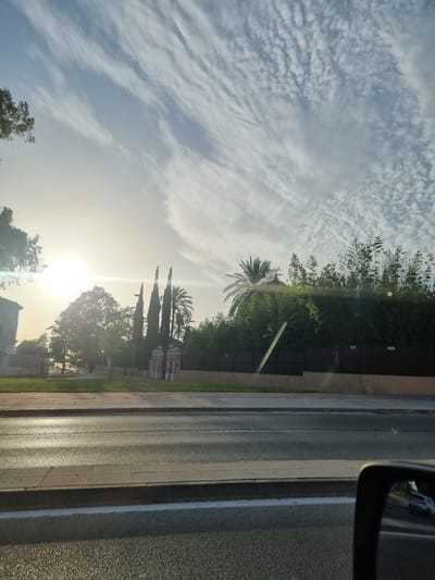 This media file captures a street scene, likely in Jerez de la Frontera, Spain, during what appears to be late afternoon or early evening. The sun is low in the sky, casting a warm, diffused light and creating lens flare effects. The sky is filled with wispy, high-altitude clouds that are streaked across the frame, suggesting a partly cloudy but fair weather condition.
The foreground is dominated by a road and sidewalk, with a parked vehicle visible in the reflection of a side mirror on the right. The road surface appears wet in places, reflecting the sunlight. A strip of green grass runs alongside the sidewalk.
Behind the sidewalk, there is a dense line of trees and foliage, with some taller, slender trees resembling cypresses interspersed with broader-leafed trees and a palm tree visible. Behind the greenery, there are glimpses of buildings, one appearing to be a light-colored structure with architectural details, possibly a church or historical building. A dark fence runs along the edge of the property behind the trees.
The overall mood is serene and tranquil, bathed in the soft, golden light of the setting sun. There is no visible text in the image.