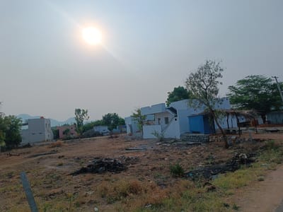 The image depicts a scene in Kothacheruvu, India, likely a rural or semi-rural area. The sun is high in the sky, creating a hazy and bright atmosphere. Several buildings are visible, including a two-story structure on the left and a series of white, single-story houses in the center. The foreground is dominated by dry, barren land littered with debris and patches of vegetation. A small tree stands near one of the houses, and a simple thatched-roof structure is also present. A dirt road borders the scene on the right. The overall impression is one of a developing area with signs of construction and some neglect. No people are clearly visible.