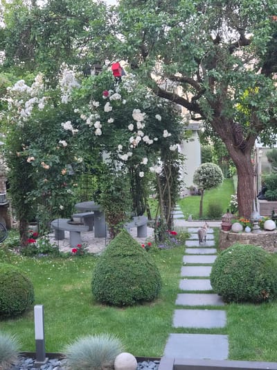 A domestic short-haired cat with a grey tabby pattern walks away from the camera on a stone pathway in a garden. The garden features a stone table and benches under a rose arch laden with white and pink roses. There are manicured topiaries, a large tree with a bird's nest, and decorative garden features including lanterns and spheres. Red flowers are scattered throughout the garden beds. The scene appears to be in a residential setting in Bettembourg, Luxembourg.
