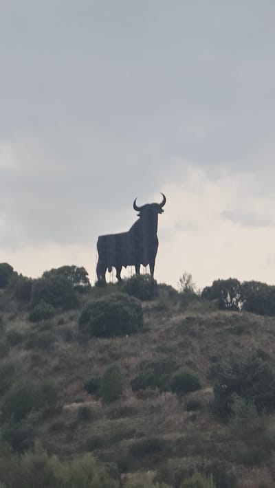 The image shows a silhouette of a large bull statue against a cloudy, overcast sky. The statue is positioned on the crest of a hill or rocky outcrop, with dry, scrubby vegetation and a few trees visible on the slope. The bull is depicted in a powerful stance, with its head raised and horns curved. The silhouette is dark and sharp, contrasting with the lighter, diffused light of the sky and the textured, earthy tones of the hillside. The overall impression is one of strength and perhaps a sense of ruggedness or wilderness, given the natural setting. The image is vertically oriented, with the bull appearing to be looking out over the landscape. The time of day is likely overcast daylight, given the soft lighting and cloud cover. There is no visible text in the image. The location cues of dry, sparse vegetation and a prominent bull statue suggest a connection to Spanish culture, possibly related to bullfighting or the iconic Osborne bull advertising symbol, common in Spain.