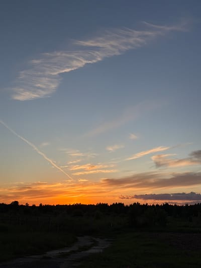 This is a vertical, landscape photograph of a sunset over a rural area in Baranovo, Russia. The sky is filled with streaks of clouds, some wispy and white, others illuminated with the warm hues of orange and yellow from the setting sun. A thin, white contrail from an airplane cuts diagonally across the sky.

The horizon is marked by a dense line of dark green trees, silhouetted against the vibrant sky. To the right of the trees, a patch of dark, rough-textured ground, possibly a dirt path or field, is visible. The overall impression is one of peacefulness and natural beauty, characteristic of a late evening in the countryside. The time of day is clearly sunset due to the intense colors in the sky and the darkening of the landscape. The weather appears clear with some cloud cover, typical for this time of day. There is no visible text in the image.