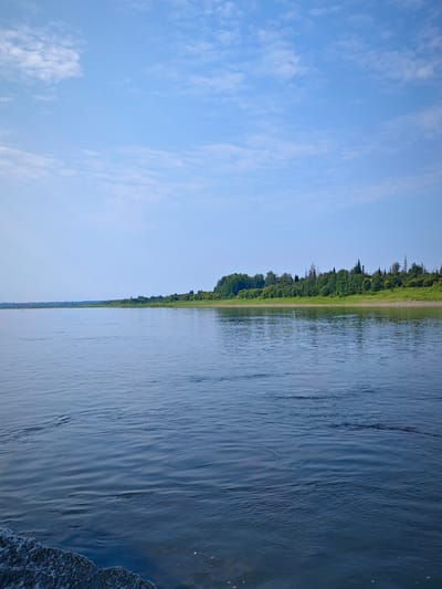 The image captures a wide, calm river under a bright, partly cloudy blue sky. The water is a deep blue, with gentle ripples and some froth visible along the bottom left edge, suggesting movement. On the opposite bank, a dense line of green trees and vegetation stretches across the horizon, with some taller trees interspersed. The landscape appears natural and undeveloped. This scene is located on the bank of the Northern Dvina River, in the village of Novonazimovo, Arkhangelsk Oblast, Russia. There are no people or man-made structures prominently visible in the image, aside from a faint white buoy in the distance. The overall impression is one of a serene, natural environment.