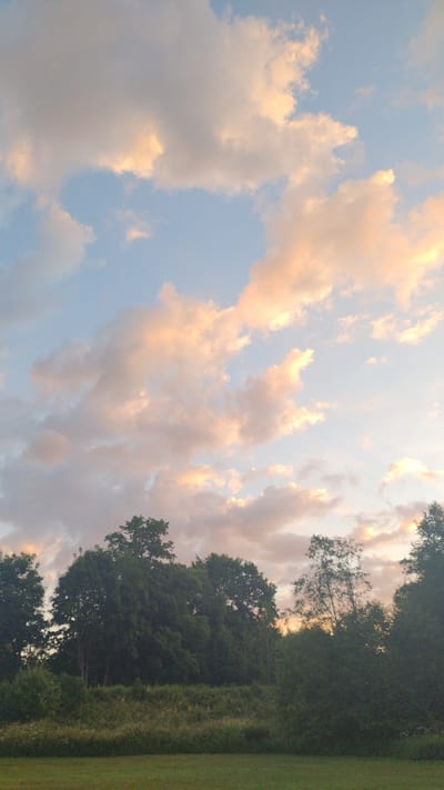 The image depicts a pastoral landscape at dusk, likely in the vicinity of Mailes, Latvia, characterized by a treeline in the midground and a grassy field in the foreground. The sky is a prominent feature, displaying a soft blue hue with scattered clouds illuminated by the setting sun, casting warm, peachy tones across their surfaces. The trees form a dense, dark silhouette against the sky, with varying heights and densities suggesting a mix of deciduous and possibly some coniferous species. A band of overgrown vegetation, likely meadows or fields with wildflowers and grasses, separates the treeline from the foreground. The foreground itself is a neatly mown green lawn, indicative of a park, garden, or open recreational space. There are no people or animals visible in the scene. The overall atmosphere is tranquil and natural, capturing a serene moment of twilight in a rural or semi-rural setting.