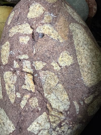 The image shows a close-up view of a textured, dark reddish-brown rock with embedded lighter, yellowish fragments. The rock surface is rough and grainy. The fragments vary in size and shape, some are angular, others more rounded, and they are distributed unevenly across the rock. Faint cracks are visible on the surface of the rock, some of which are filled with a darker material. The lighting appears to be natural, casting subtle shadows that highlight the texture and depth of the rock. The image is taken in Užliekniai, Lithuania.
