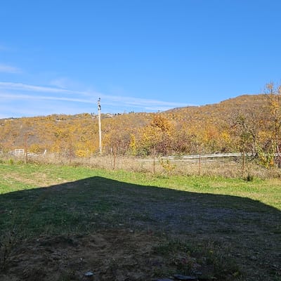 This image captures an outdoor, rural-suburban scene in Buriani, Georgia, under clear daylight conditions during autumn. The foreground features a patchy ground of green grass and dry earth, bisected by a sharp, triangular shadow originating from an unseen structure to the lower right. A sparse fence line with several thin, dark metal posts extends horizontally across the midground. Behind this fence, a band of dry vegetation precedes a dense cluster of trees and shrubs exhibiting yellow and orange autumnal foliage. A tall, light-colored utility pole with attached insulators and wiring stands prominently on the left side of the midground. Further beyond, a metallic gray guardrail runs horizontally, suggesting the presence of a roadway. The background is dominated by a large hillside covered in deciduous trees, displaying a vibrant palette of yellow and brown autumn colors. Scattered residential structures with light-colored roofs are visible on the upper slopes of the hill. The sky above is a clear, uninterrupted blue with minimal wispy white clouds on the far left horizon. No individuals or specific actions are discernible within the frame.