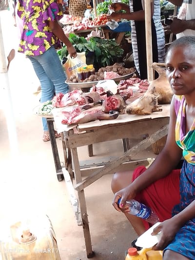 A woman sits near a wooden table laden with raw meat, including animal heads. Other items on the table include vegetables, tomatoes, and bottled liquids. Shoppers are visible in the background. The woman holds a water bottle and a plate. The foreground also shows containers near the table. The scene is likely a market.