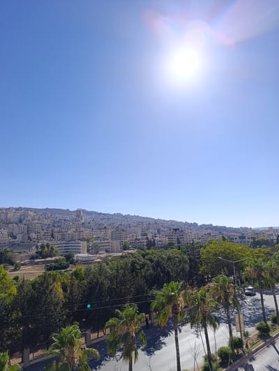 The media file is a photograph capturing a cityscape under a bright, sunny sky. The scene is dominated by a sprawling urban area with numerous buildings of varying heights and architectural styles, predominantly light-colored, climbing up a hilly landscape. In the foreground, a row of palm trees lines a road, casting shadows on the asphalt. A white vehicle is visible on the road.
The time of day is clearly daytime, indicated by the intense sunlight and the clear, bright blue sky. The sun itself is a prominent feature in the upper right portion of the image, with a lens flare creating a bright halo effect and streaks of light. The weather appears to be clear and hot, typical of a sunny day.
The location is identified as Nablus, Palestinian Territories. This context suggests the cityscape might be characteristic of Palestinian urban environments. There is no visible text in the media file.
The overall impression is one of a vibrant, populated city bathed in the strong light of a clear day. The scene conveys a sense of everyday life in an urban setting, with the natural elements of palm trees and the sunny sky providing a contrast to the man-made structures. There are no visible people in the image.