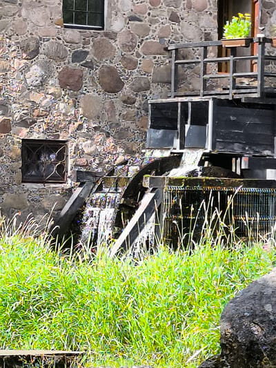 The image depicts an old water mill, possibly located in the town of Mosėdis, Lithuania. The mill is constructed of rough-hewn stones, with a dark wooden structure housing the water wheel and mechanisms. The water wheel is actively turning, with water cascading down its paddles. Tall, green grass grows around the base of the mill and in the foreground. The scene is bathed in natural light, with some colorful reflections on the water and stonework, suggesting a bright, sunny day. There are no people visible in the frame.