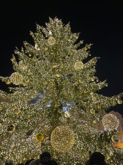 A colossal Christmas tree, densely adorned with warm white string lights and numerous golden-hued spherical ornaments, dominates the nighttime scene. The tree, displaying dark green foliage, is illuminated against a deep black sky in Praha 1, Czechia, specifically likely within Old Town Square.

The ornaments consist of two primary types: large, smooth, reflective golden or bronze-colored spheres, and larger spherical structures composed of numerous tiny lights, creating a sparkling, textured appearance. Thousands of small LED lights are intricately woven throughout the tree's branches, creating a bright, uniform glow.

At the very bottom of the image, the upper heads and shoulders of a dense crowd of individuals are visible, indicating a public gathering. These individuals are primarily seen from behind, looking upwards towards the tree. Distant, indistinct architectural elements of historical buildings can be vaguely discerned in the background through the lower branches of the tree, partially illuminated by the tree's glow and sparse ambient light. One building on the lower right suggests the presence of a sign, possibly displaying "WARHOL." No specific actions or interactions among the crowd are clearly discernible. The overall environment suggests a festive, public outdoor setting during the night.