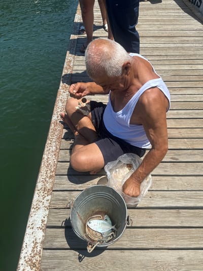 This image, taken in Köyceğiz, Turkey, shows an elderly man kneeling on a wooden dock, preparing fishing gear. He is wearing a white tank top and dark shorts, with his weathered arms and face illuminated by bright sunlight, suggesting a warm, clear day. His white hair is neatly trimmed, and he appears focused on his task.

In front of him, a metal bucket holds a recently caught fish, its scales shimmering. Beside the bucket, he is holding a plastic bag containing what appears to be bait or more fish. The man's hands are actively engaged, manipulating fishing line, which is visible tangled around his legs and the surrounding wooden planks. The dock itself is constructed of aged, weathered wood, with a rusty metal edge overlooking a calm, green body of water, likely Lake Köyceğiz.

The perspective is overhead, providing a clear view of the man, his equipment, and the immediate surroundings. The strong shadows cast by the man and the bucket indicate it's likely midday. The overall atmosphere seems to be one of quiet industry and a connection to traditional fishing practices. There is no visible text in the image.