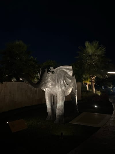 The scene depicts a large, illuminated elephant statue at night within the landscaped grounds of the Radisson Resort Ras Al Khaimah Marjan Island, United Arab Emirates. The central subject is a life-sized statue of an elephant, rendered in a light-colored material, possibly stone or concrete, standing with its trunk raised and curved to its left. The statue features detailed skin texture and prominent ears, characteristic of an Asian elephant. It is brightly illuminated from below by multiple ground-level spotlights, creating strong highlights and defining its form against the dark surroundings.
The environment is characterized by a deep, dark blue-black night sky. In the mid-ground, behind the elephant, several large, dark green fan palm trees are partially visible, with some fronds catching ambient light. A light-colored, low wall extends horizontally behind the statue on the left, also faintly illuminated. To the right of the statue, a dark paved pathway with a textured surface curves into the background, bordered by dark, low-lying vegetation and additional ground lighting. The ground around the statue consists of dark grass. Two rectangular features are present on the grass: a dark plaque or sign to the left of the statue's front legs, and a lighter, flush-mounted square feature to the right of its rear legs. No individuals or active interactions are present in the frame.