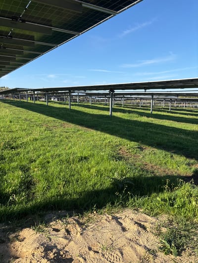 This media file captures a solar farm in Galatro, Italy, under clear skies. The scene is dominated by numerous rows of photovoltaic solar panels, stretching horizontally across the landscape. The panels appear dark gray or black, constructed with metallic frames and supported by silver-colored metal structures, likely comprising solar trackers or fixed-tilt mounting systems. The closest row of panels is visible on the left, showcasing its gridded surface.
Between the parallel rows of solar panels, the ground is covered with vibrant green grass, indicating maintained vegetation within the facility. Long, distinct shadows are cast by the solar panel rows onto the grassy areas, suggesting either early morning or late afternoon sunlight. To the far right of the image, a section of lighter, sandy or dirt ground is visible, with sparse patches of grass and weeds, and faint impressions that could be footprints.
The sky above is a bright, clear blue, with only a few thin, wispy white clouds high up. No human activity or specific event is taking place; the scene depicts a static industrial-scale renewable energy generation site. There is no visible text in the image. The overall impression is one of a functional and extensive solar power installation under sunny conditions.