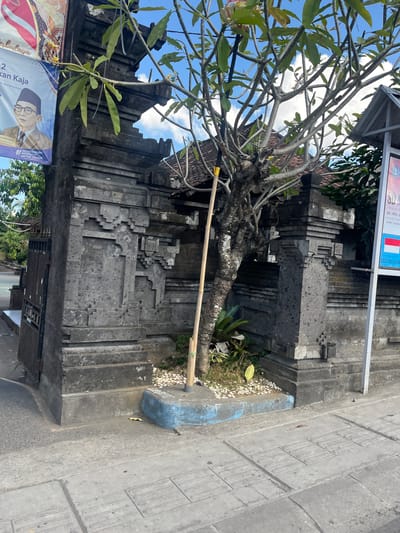 The image captures an outdoor scene in Denpasar Barat, Indonesia, featuring a weathered stone gateway with intricate carvings. A young tree with thin branches and green leaves stands in front of the gateway, its trunk partially supported by a wooden pole. The ground around the tree is covered with white pebbles and a few green plants. To the left of the gateway, a section of a banner with text and a portrait of a man wearing glasses and a cap is visible. On the right, a white signpost with text and the Indonesian flag is present. The gateway itself appears old, with moss or discoloration on its surfaces. The background shows glimpses of a tiled roof and trees. The ground in the foreground consists of paved sidewalks with tactile paving. A small lizard is present on the sidewalk. The sky above is blue with scattered white clouds.