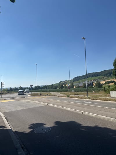This media file depicts an outdoor scene in Weinfelden, Switzerland. The image is oriented vertically. The foreground shows a paved road with yellow lines indicating traffic lanes. A circular manhole cover is visible on the road surface, partially obscured by the shadow of a tree. The road is bordered by a curb and a grassy area.

In the middle ground, a line of streetlights runs parallel to the road. Beyond the streetlights, there is a pedestrian walkway and a dense green hedge. Further back, a landscape unfolds with a gently sloping hill covered in trees and vineyards. Scattered amongst the greenery are houses and buildings, suggesting a rural or semi-rural setting.

In the distance, a vast expanse of clear blue sky dominates the upper portion of the image. A faint contrail from an aircraft is visible in the sky. The lighting suggests it is daytime, likely a sunny day, given the strong shadows. The overall atmosphere appears peaceful and serene, characteristic of a clear summer day in the Swiss countryside. There are no visible people in the image. No discernible text is present.