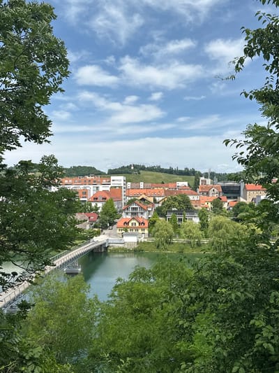 From an elevated vantage point, possibly a park or hillside, the image captures a view of Maribor, Slovenia. In the foreground are green leafy trees framing the scene. In the midground, a cityscape is seen with buildings, primarily with orange-tiled roofs and white facades, lining the banks of a river. A bridge spans the river, providing a pathway to the buildings on the opposite side. Beyond the buildings, a hill covered in greenery rises, forming a natural backdrop to the urban landscape. The sky above is blue, dotted with scattered white clouds. The river appears calm, reflecting the colors of the sky and the surrounding buildings. The location is identifiable as Maribor due to the distinct architectural style and the presence of the Drava River.