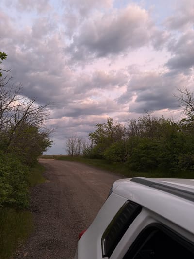 The image depicts a gravel road curving away into the distance. Lush green vegetation lines the sides of the road. A white vehicle is parked on the right side of the frame, obscuring part of the scene. Above, the sky is filled with clouds, ranging in color from light gray to dark gray. The image appears to be taken at dusk or dawn, as the light is soft. The location is identified as Ternovka, Russia.