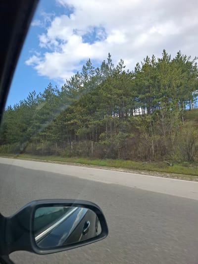 The image shows a view from inside a moving vehicle, likely a car, on a road adjacent to a forest. The road, likely asphalt, is visible in the foreground. The forest, comprised of densely packed trees, borders the roadside. A clear blue sky with scattered white clouds is visible above the trees. A car side mirror is present in the lower right of the frame, reflecting the car itself. The location is Церово, Bulgaria.
