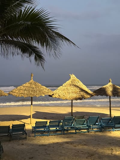 The image depicts a beachfront scene in An Hải Ward, Vietnam, at what appears to be twilight or early morning. A large palm frond extends into the upper left quadrant of the frame, partially obscuring a muted grey-blue sky. Below, the sandy beach is illuminated by artificial light sources, casting shadows from the objects present. Three large, conical straw-thatched beach umbrellas stand upright in the sand, with a fourth partially visible on the far left. In front of these umbrellas, arranged in two rows, are numerous blue slatted wooden lounge chairs, all unoccupied. Beyond the beach, the ocean features visible white waves breaking near the shore under the same grey-blue sky. No individuals are present in the frame.