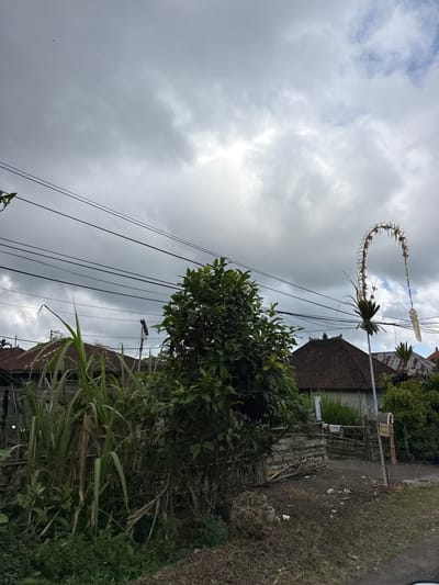 An outdoor, medium shot captures a street scene in Bangli, Indonesia, under an overcast sky. The foreground is dominated by tall, green grasses and dense foliage. In the midground, power lines crisscross the frame above several traditional Balinese houses with dark, tiled roofs. To the right, a distinctive arched decorative structure, likely a Penjor, stands tall, adorned with woven materials and flowers. The ground appears to be a dirt path with scattered debris. A small, purple object is visible high in the sky on the left side of the frame.
