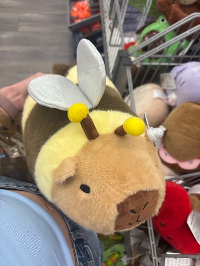 This media file shows a close-up, overhead view of a plush bee toy being held by a person. The bee is fuzzy with brown and yellow stripes, silver wings, and two yellow antennae with brown stems. Its face has a brown patch with a simple embroidered expression. The toy has a white plastic tag attached to its head.
The person holding the toy is wearing a light blue t-shirt and denim overalls. Only their arm and a portion of their torso are visible. The background is blurred but appears to be an aisle in a store, likely a toy store or a section of a larger retailer selling plush toys. Other plush toys, including a green frog-like toy and red heart-shaped toys, are visible on shelves in the background, partially obscured by a metal rack. The floor is a light grey wood-grain pattern.
There is no indication of the time of day or weather. The setting is indoors in a commercial establishment. The person's hand and arm suggest they are interacting with the toy, possibly examining it before purchase. The emotion conveyed is neutral or perhaps curious, based on the interaction with the toy. The location context provided is Erlenbach am Main, Germany, which might be where the store is situated. No legible text is discernible in the image.
