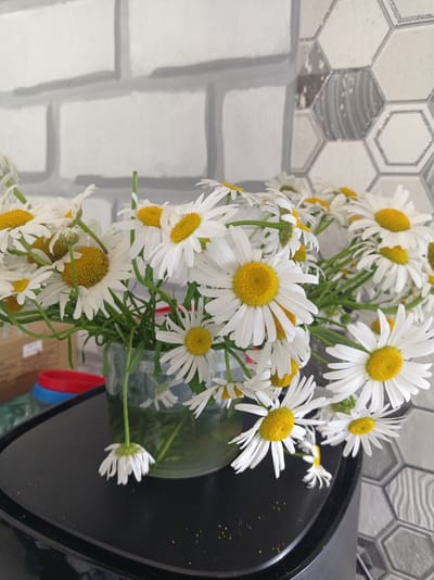 A bouquet of white daisies with yellow centers is displayed in a clear glass vase. The vase sits on a black surface, which appears to be a table. The background consists of a tiled wall, with one section featuring a brick pattern and the other a hexagonal pattern with grey and white tones. In the lower left portion of the image, a red and blue object is partially visible. The overall lighting suggests an indoor setting. There are no people or animals present in the image. The setting does not provide specific clues to pinpoint a location within Uglekamensk, Russia.