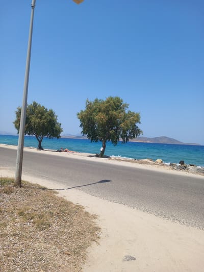 A street runs parallel to a body of water, with two trees and a person sunbathing on the sandy shore between the street and the water. The sky is clear and blue. The scene is likely in Zipari, Greece, a coastal town. The street is paved and shows tire marks. The sand is light in color and dry, with some patches of dry grass. The trees are green and leafy. The water is a bright blue, with small waves lapping at the shore. In the distance, hills can be seen on the horizon.
