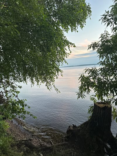 The image depicts a serene waterfront scene near the city of Gory, Russia, likely during twilight hours. In the foreground, a thick tree stump is prominent on the right side of the frame, its rough texture and exposed wood suggesting it has been recently cut. The left side of the foreground features a rocky shoreline with scattered pebbles and some overgrown grass and vegetation. Overhanging branches with lush green leaves frame the view of the water from both the left and right sides of the image. The water itself is calm, with subtle ripples reflecting the soft, pastel colors of the sky. In the distance, the horizon shows a faint line of land with a few structures, and the sky is a blend of pale blue, pink, and white, indicating either sunrise or sunset. No people are visible in the image.