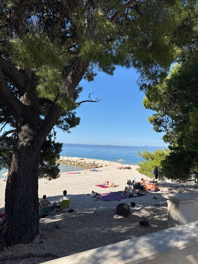 The image shows a sunny day at a pebble beach in Makarska, Croatia. In the foreground, a large tree with dark, textured bark shades a portion of the beach. Several people are visible on the beach, some relaxing on towels or lounge chairs, while others are walking or standing. The sea is calm and blue, with a breakwater made of stones extending into the water. The sky is clear and blue. The overall scene depicts a leisurely day at the beach.