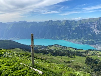 The image captures a breathtaking panoramic view from the Axalp in Switzerland, looking out over the turquoise waters of Lake Brienz and the surrounding mountain range. In the foreground, a weathered wooden post stands planted in lush green grass, a fallen log resting beside it. The post has a small orange object attached to its side. The middle ground features rolling green hills dotted with scattered pine trees and a small cluster of buildings, suggesting a hamlet or village. Beyond that, Lake Brienz stretches out, its vibrant blue contrasting with the verdant slopes of the mountains that rise majestically in the background. The sky above is a clear blue, adorned with wispy white clouds, indicating a pleasant day. The overall scene is one of serene natural beauty, characteristic of the Swiss Alps.
