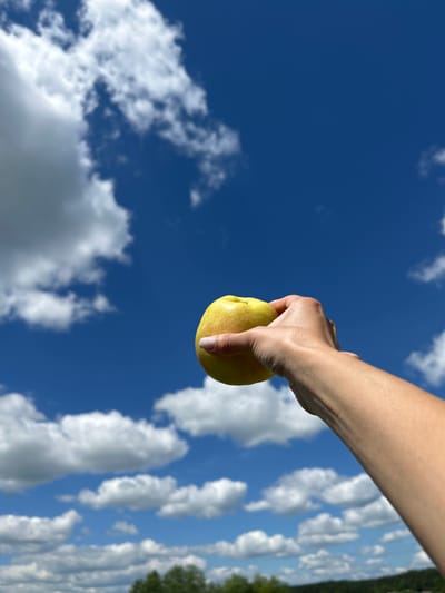 In an outdoor scene set in Vyshevychi, Ukraine, a person's arm and hand are visible, holding a light yellow apple against a vibrant blue sky dotted with white, fluffy clouds. The hand, with neatly manicured fingernails, is positioned in the lower right quadrant of the image, grasping the apple. The background consists of a clear blue sky with scattered clouds, and in the distance, a hazy green line of trees and foliage suggests a rural or semi-rural environment. The focus is on the apple and the hand holding it, with the sky serving as a backdrop.