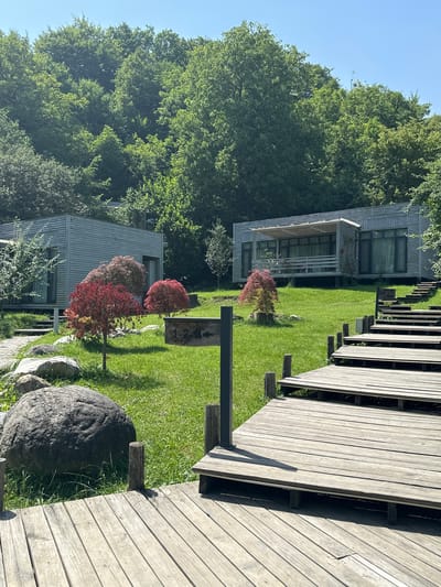 The image depicts an outdoor scene with modern, minimalist cabins nestled on a grassy hillside surrounded by dense, green trees under a clear blue sky. A wooden walkway with steps ascends from the foreground towards the cabins, which are constructed with light-colored, horizontal siding. In the middle ground, there are several ornamental trees with red and pink foliage. A dark wooden signpost with text "1-2-4" is visible near the walkway. In the foreground, a large, dark boulder rests on the grass near the start of the walkway. The overall setting suggests a resort or lodging facility in a natural, wooded environment, possibly located in the city of Kusnatqazma, Azerbaijan. No people are present in the image.