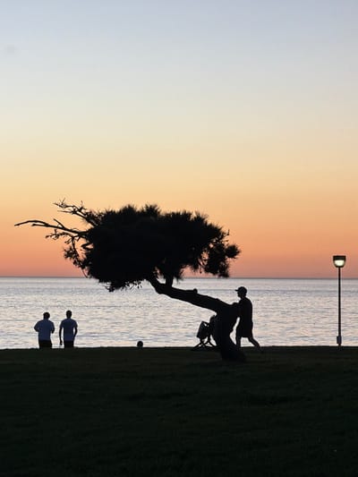 A silhouetted tree stands along a shoreline at sunset. The sky transitions from light blue to orange. Two silhouetted figures are near the shoreline. Further up, a person is perched on the tree's bent trunk. A lamppost stands behind the tree, while a grassy area occupies the right side. A bicycle rests next to the tree's trunk.